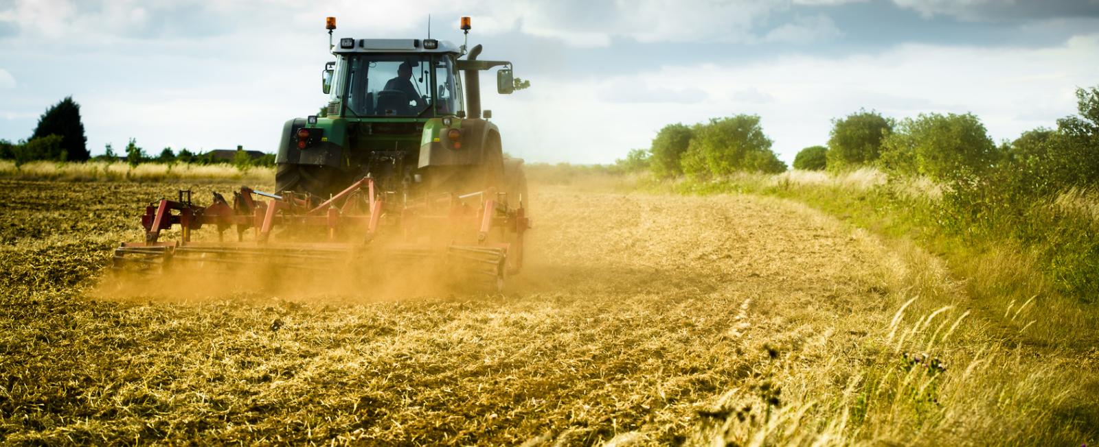 AGRICULTURE AGRICULTURE